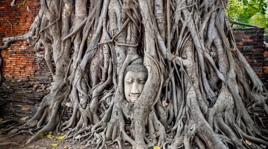 アユタヤ観光_ワットマハタート